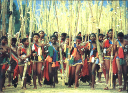 SWAZILAND - Reed Dance - Swaziland