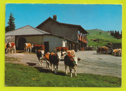 Jura Vaudois Chalet Restaurant Ferme De LA DENT De VAULION N°13960 VOIR ZOOM Beau Troupeau De Vaches VOIR DOS - Vaulion