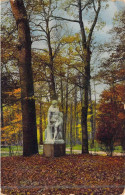 ALLEMAGNE - Dresden - Grosser Garten Im Herbst - Carte Postale Ancienne - Other & Unclassified