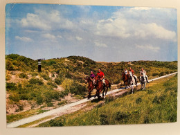 CPM - PAYS BAS - HOLLAND - Groeten Van Terschelling - Terschelling