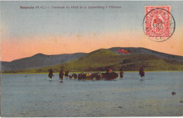 Nouvelle Calédonie - Nouméa - Traversée Du Bétail De La Quarantaine à L'abattoir - Animé - Mer - Carte Postale Ancienne - Nouvelle-Calédonie