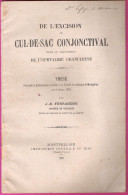 De L'Excision Du Cul-de-sac Conjonctival Thèse Du Docteur Ferrandini Montpellier 1891 édition Originale Dédicacée - Gezondheid