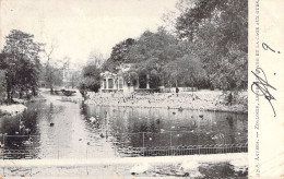 BELGIQUE - ANVERS - Zoologie - Le Grand étang Et La Cage Aux Ours - Carte Postale Ancienne - Other & Unclassified