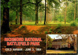Virginia Richmond National Battlefield Park Cold Harbor Confederate Posiition - Richmond