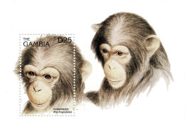 GAMBIA 1996 Mi BL 285 CHIMPANZEES MINT MINIATURE SHEET ** - Chimpansees