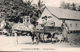 Vue - Papouasie-Nouvelle-Guinée