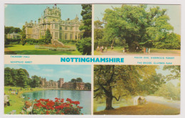 NOTTINGHAMSHIRE - Multiviews : THORESBY HALL, MAJOR OAK SHERWOOD FOREST, NEWSTEAD ABBEY, THE BRIDGE CLUMBER PARK - Andere & Zonder Classificatie