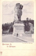 BELGIQUE - Barrage De La Gileppe - Le Lion Du Barrage - Carte Postale Ancienne - Otros & Sin Clasificación