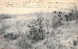 BELGIQUE - La Panne - Flore Des Dunes - Carte Postale Ancienne - Otros & Sin Clasificación