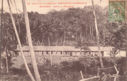 Nouvelle Calédonie - Nouméa - Dans La Brousse -  - Carte Postale Ancienne - Nieuw-Caledonië