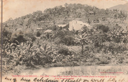 Nouvelle Calédonie - Numéa - Balade - Phototypie Bergeret  - Carte Postale Ancienne - Nieuw-Caledonië