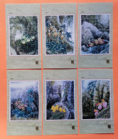 China Commemorative Sheet Of The Paphiopedilum Species,no Face Value,6v - Collections, Lots & Series