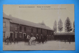 Environs De Libramont 1905: Ferme De Gerbaifet, Très Animée Avec Attelages Et Très Rare ! - Libramont-Chevigny