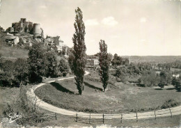 CPSM Chateau Et Village De Castelnaud           L2172 - Domme