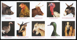 Etats-Unis / United States (Scott No.5592a - Heritage Breeds) [**] - Ungebraucht