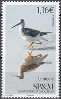 Saint-Pierre & Miquelon 2020 Oiseau Limicole Neuf ** - Unused Stamps