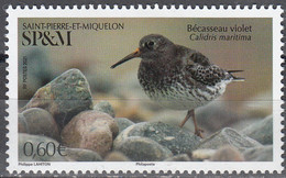 Saint-Pierre & Miquelon 2021 Oiseau Bécasseau Violet Neuf ** - Unused Stamps