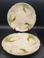 Lot De 2 Assiettes ONNAING Barbotine Majolique Narcisse Diam 21 Cm XIXe  #230409 - Onnaing (FRA)