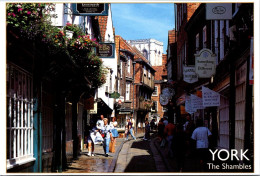 (4 P 43) UK - York (The Shambles) - York