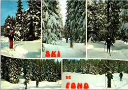 (4 P 45) France (posted 1985) Ski De Fond - Cross-Country Skiing - Sports D'hiver