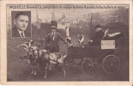 57 Mosselle -Souvenir Le Lustige Batis ... Chevre  Goat Cart - Forbach