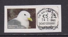 IRELAND - 2013 Black Legged Kittiwake SOAR (Stamp On A Roll) CDS Used On Piece As Scan - Usados