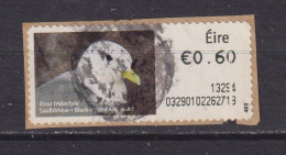 IRELAND - 2013 Black Legged Kittiwake SOAR (Stamp On A Roll) CDS Used On Piece As Scan - Oblitérés