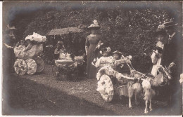 75 Sortie De Kermesse Paris 1903 D'après Le Site 'Terre Des Chèvres' Attelage Chevre Goat Cart - Parken, Tuinen