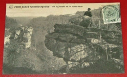 MULLERTHAL  - PETITE SUISSE LUXEMBOURGEOISE  -  Sur Le Plateau De La Kohlscheuer   -    1910 - Muellerthal