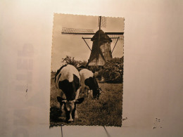 Aalsmeer - Watermolen Aan De Molenvliet - Aalsmeer