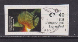 IRELAND  -  2013 Red Tube Worm SOAR (Stamp On A Roll)  CDS  Used On Piece As Scan - Oblitérés