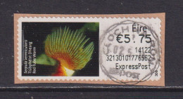 IRELAND  -  2013 Red Tube Worm SOAR (Stamp On A Roll)  CDS  Used On Piece As Scan - Oblitérés