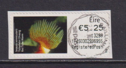 IRELAND  -  2013 Red Tube Worm SOAR (Stamp On A Roll)  CDS  Used On Piece As Scan - Oblitérés