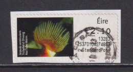 IRELAND  -  2013 Red Tube Worm SOAR (Stamp On A Roll)  CDS  Used On Piece As Scan - Gebraucht