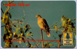 Sri Lanka Rs.100 " Orange Breasted Green Pigeon " - Sri Lanka (Ceilán)