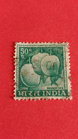 INDE - INDIA - Timbre 1967 : Fruits - Mangues - Used Stamps
