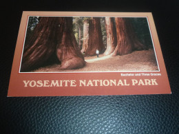 Yosemite Falls - National Park - Bachelor And Three Graces - Se-627 - Editions Colorscope - - Yosemite