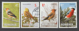 Rumänien 2015 Singvögel Birds Mi 6926 - 6929 Gestempelt Used - Used Stamps