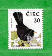 (Us6) Irlanda - Eire ° - 1998 - TURDUS MERULA. Yv. 1058. Oblitérer. - Used Stamps