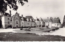 FRANCE - 37 - CERE LA RONDE - Château De Razay - Carte Postale Animée - Other & Unclassified