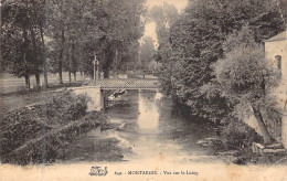 FRANCE - 45 - MONTARGIS - Vue Sur Le Loing - Carte Postale Ancienne - Montargis