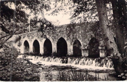 FRANCE - 45 - GRISELLES - Le Pont Du Gril XV E Siécle - Carte Postale Ancienne - Sonstige & Ohne Zuordnung