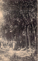 NOUVELLE CALEDONIE - Canela - Café Et Orangers - Carte Postale Animée - Nouvelle Calédonie