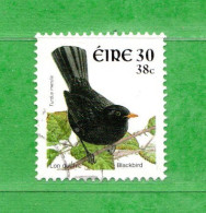 (Us6) Irlanda - Eire ° - 2001 - OISEAUX - TURDUS Merula. Yv. 1360. D. 11 X 11-1/2.Oblitérer. - Used Stamps
