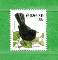 (Us6) Irlanda - Eire ° - 2001 - OISEAUX - TURDUS Merula. Yv. 1360. D. 11 X 11-1/2.Oblitérer. - Oblitérés