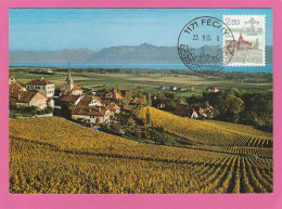 Suisse - Canton De Vaud - Carte Maximum Féchy - 1985 - Vigne - Féchy