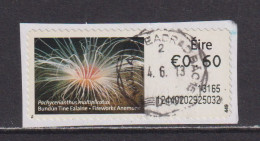 IRELAND  -  2012 Fireworks Anemone SOAR (Stamp On A Roll)  CDS  Used On Piece As Scan - Oblitérés