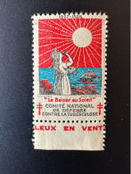 France 1927 / 1928 Antituberculeux Tuberculose Tuberculosis Tuberkulose Le Baiser Au Soleil Sun Sonne - Tegen Tuberculose