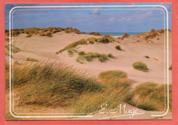 Regard Sur Le Littoral De La Mer Du Nord Et De La Manche - Nord-Pas-de-Calais