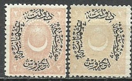 Turkey; 1881 Duloz Postage Stamp 2 K. Type VI "Color Tone Variety" - Ongebruikt